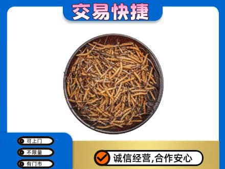 宿迁沭阳县回收散虫草
